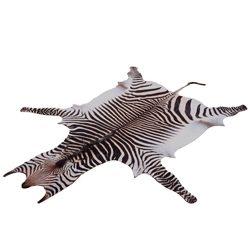 Zebrafell Bergzebra 