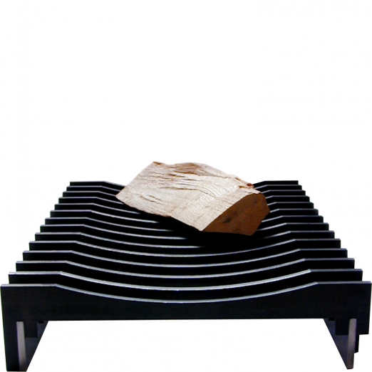 Artepuro Kaminrost burning wood 