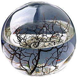 Ecosphere Nasa kosystem - 23 cm 